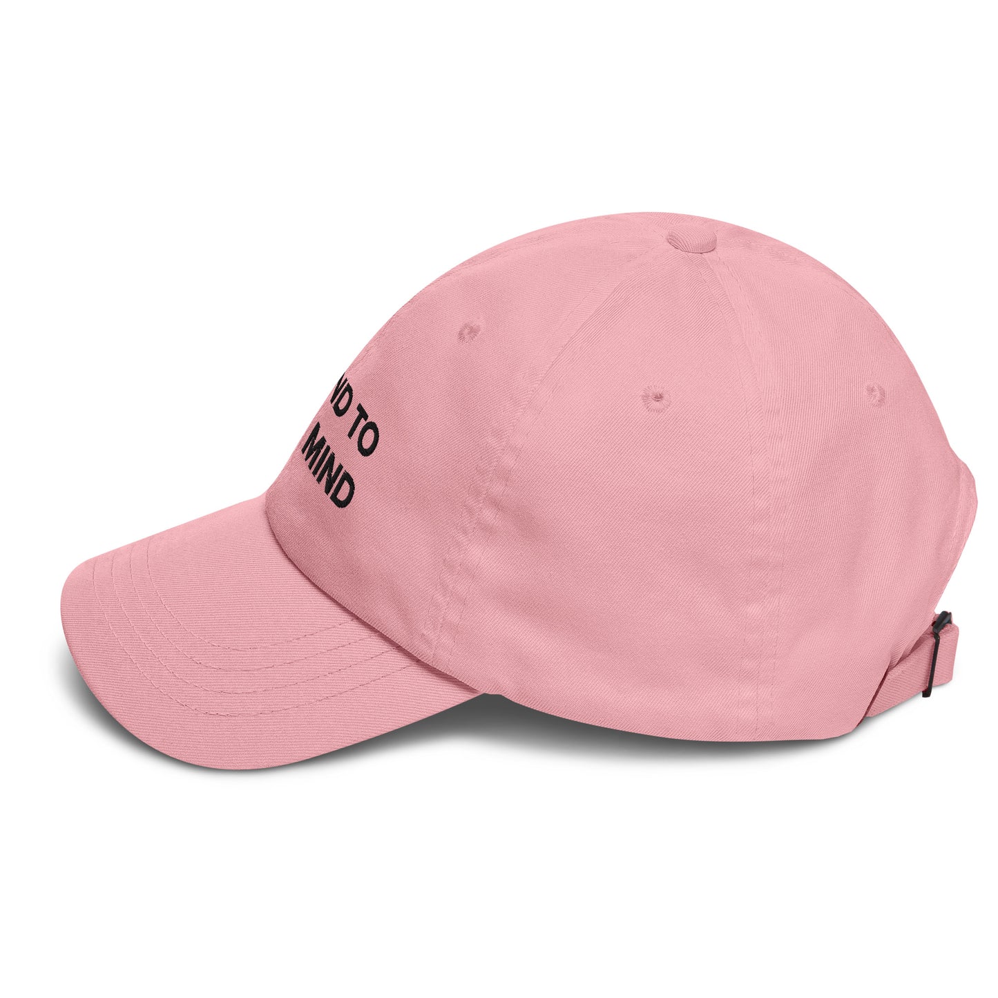 Be Kind To Your Mind Dad hat (summer edition)